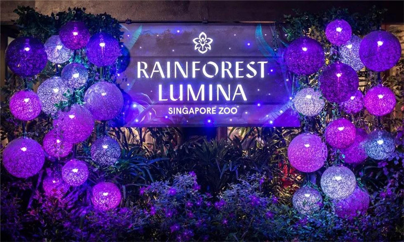 新加坡動物園45周年慶典活動—“發(fā)光雨林”