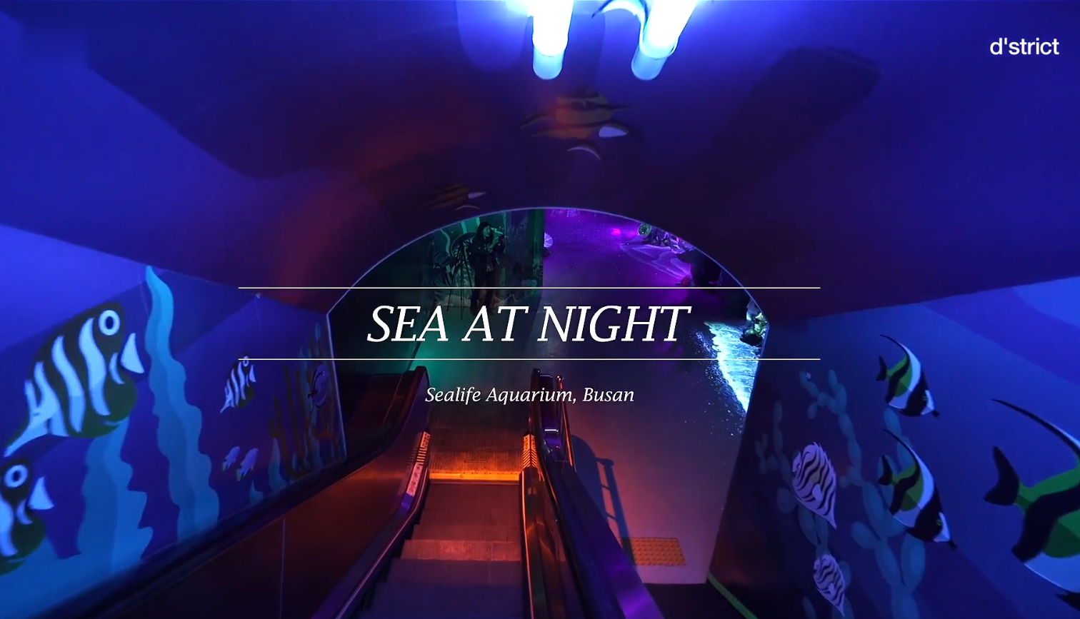 韓國釜山Sealife海洋館_新媒體互動方案--智能電影、沉浸式媒體、水箱投影、3D動畫電影