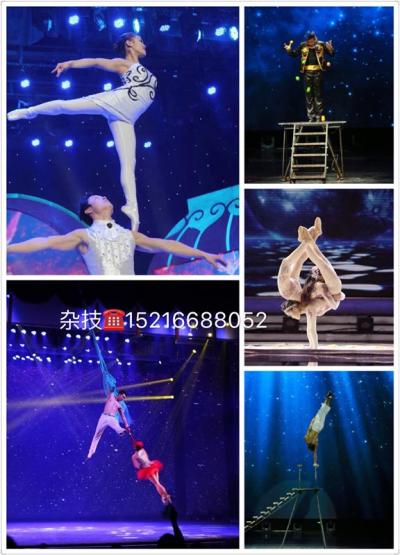 北京肩上芭蕾，綢吊威亞表演