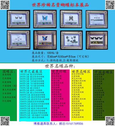 世界名貴蝴蝶標(biāo)本展示展品、蝴蝶展