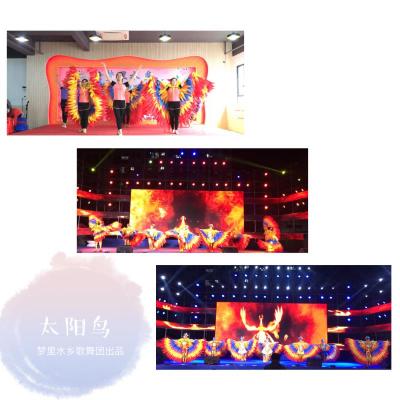 創(chuàng)意節(jié)目；開場舞蹈；高端大氣；太陽鳥