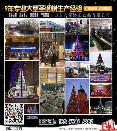 山東，圣誕樹，圣誕節(jié)，節(jié)日道具