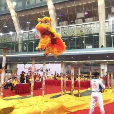 北京，舞龍舞獅表演，舞龍舞獅，舞獅采青表演，舞獅采青，舞龍舞獅培訓(xùn)，