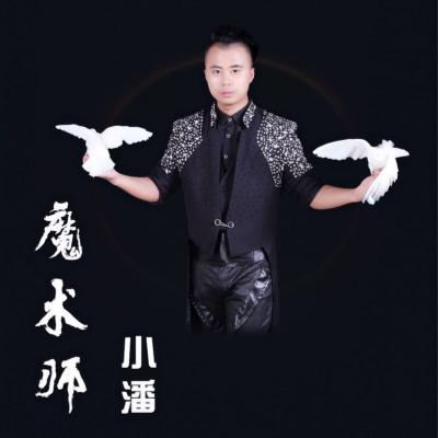 鄭州，魔術(shù)師，鴿子魔術(shù)，小丑，杰克遜模仿秀，泡泡秀，舞蹈，歌手，主持，舞獅，二人轉(zhuǎn)
