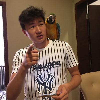 上海，武術(shù)表演，鏡面舞，能源舞者，升級(jí)版大胡子能源舞者，太空戰(zhàn)士，白兵，激光鏡面人。鼓類，水鼓，現(xiàn)代舞，爵士舞，韓國(guó)熱舞