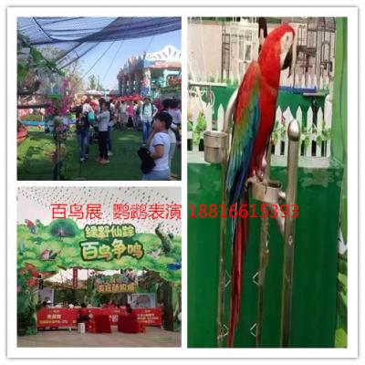 上海及周邊皇家馬戲團(tuán)\百鳥展等，歡迎來(lái)電咨詢。