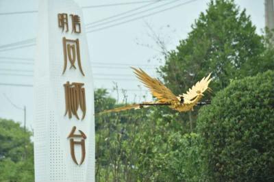 全國，無人機，無人機表演，金鳳凰無人機，開業(yè)典禮，開業(yè)活動，房地產(chǎn)開業(yè)活動，房地產(chǎn)開業(yè)典禮，鳳凰無人機，活動慶典，