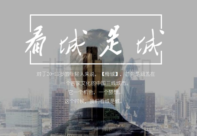 2017 奧園雙盤（天悅灣、天韻）啟動品牌戰(zhàn)略發(fā)布會策劃案