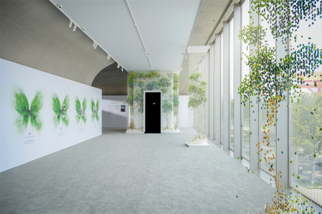 藝術(shù)展覽 | CINDY CHAO “光影之間 對(duì)影成蝶——2023年度蝴蝶大師作品展”，在上海龍美術(shù)館（西岸館）呈現(xiàn)