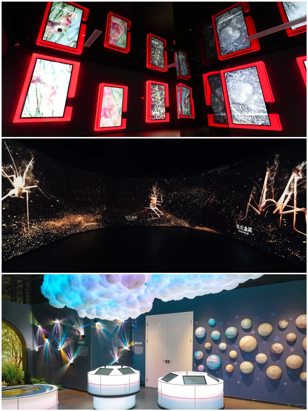 images/2/2025/06/woAo2rX9P3raruX8VKL91La282vpqO.jpg